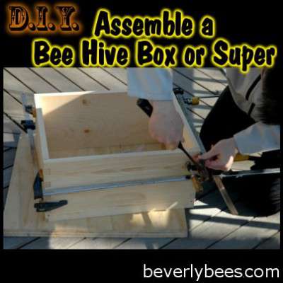 DIY: How to Assemble a Beehive - LPC Survival